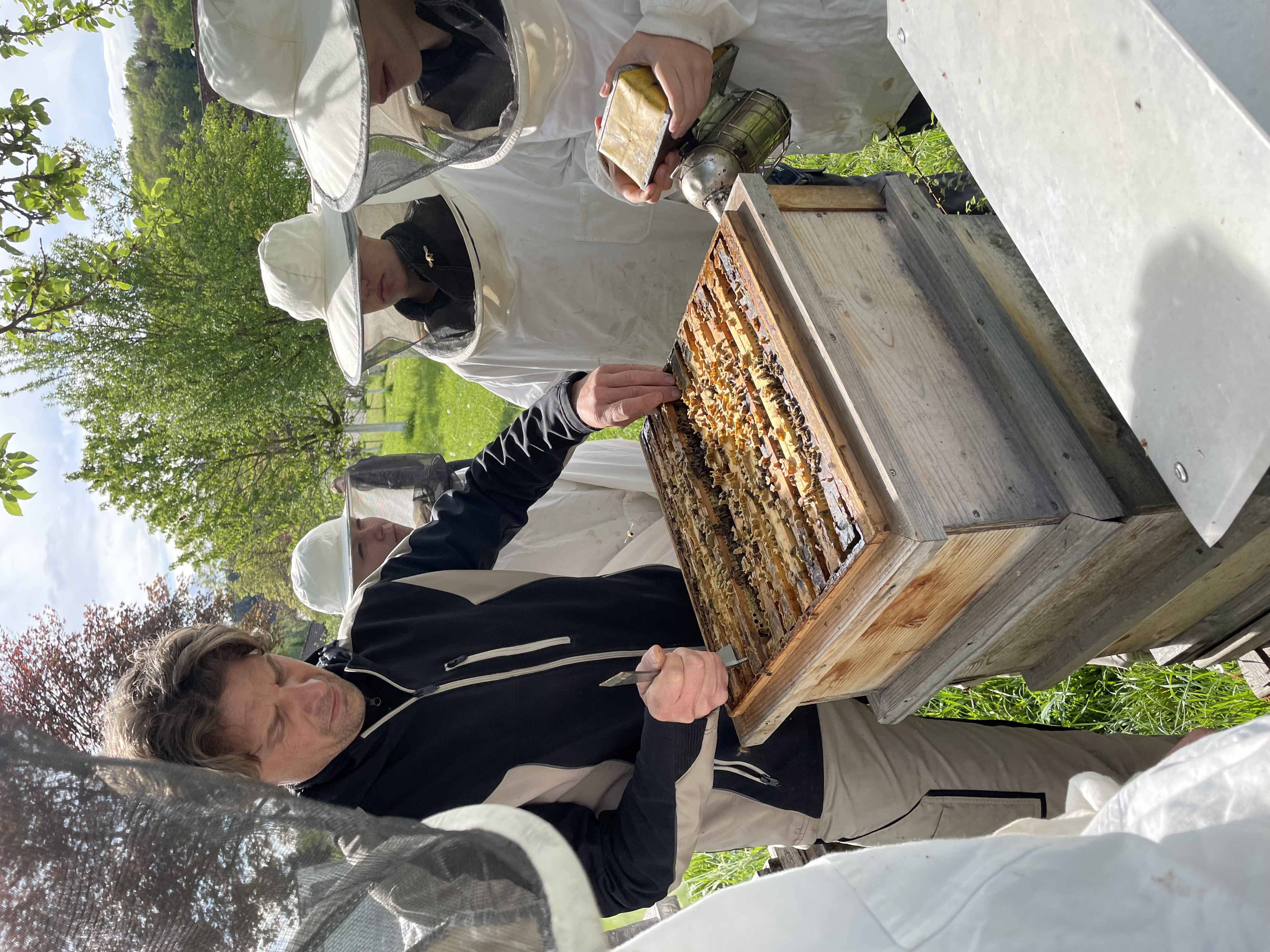 Bienen in die Landwirtschaft Projekt Logo